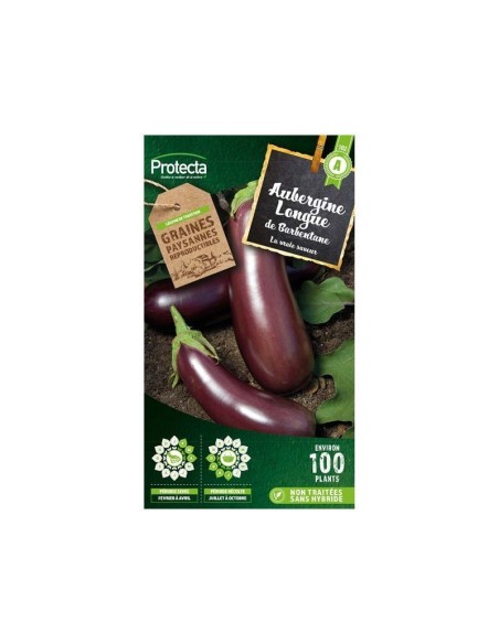 Aubergine Violette de Barbentane