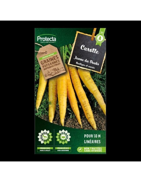 Carotte jaune obtuse du Doubs