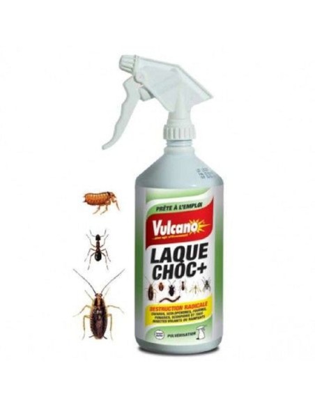 LAQUE CHOC+ ANTI INSECTES RAMPANTS ET VOLANTS 1L