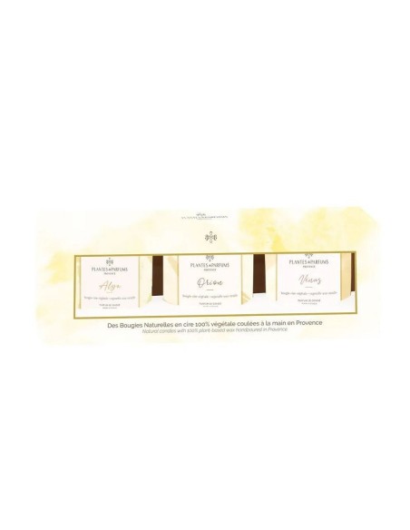 Coffret 3 Bougies Végétales 75g : Orion, Alya, Vénus