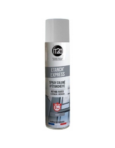 IT2C ETANCH EXPRESS GRIS 300ML