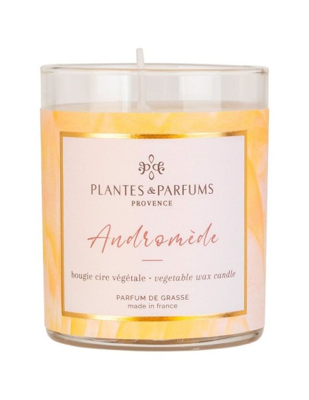 Bougie Végétale Parfumée 180g Andromède