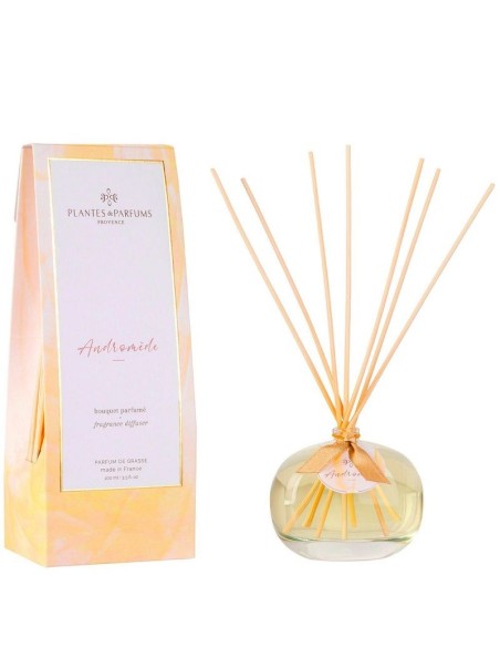 Bouquet Parfumé 100ml Andromède